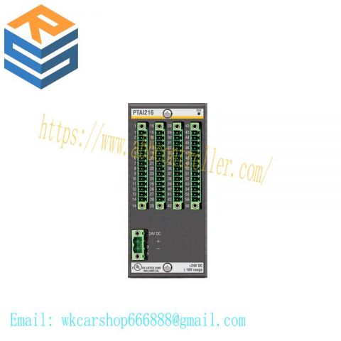 Bachmann PTAI216 Temperature Recording Module, Model Specific, Input Module