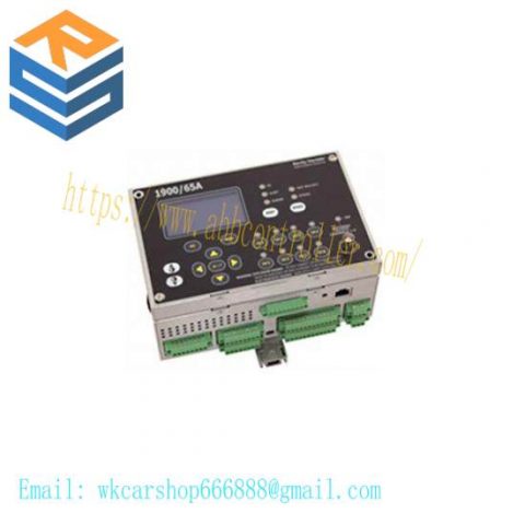 Bently Nevada 1900/65A-00-00-01-00-00, Advanced General Purpose Equipment Monitor