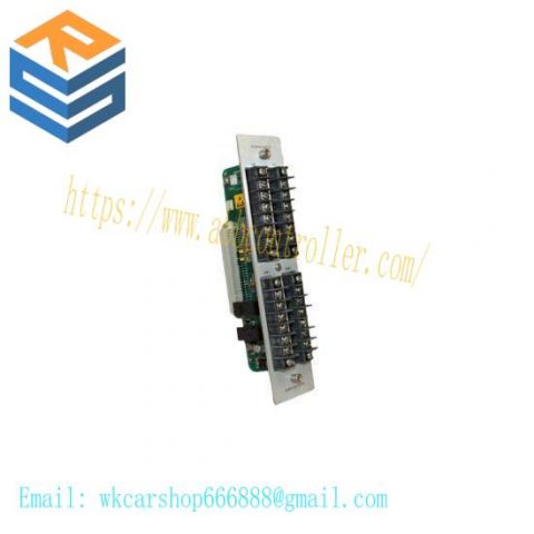 Bently Nevada 82365-01: Alarm Relay/Recorder Outputs with Dual Epoxy Relays