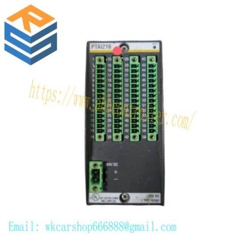 Bachmann PAAI216 Analog Input Modules, High Precision, Reliable Control Solutions