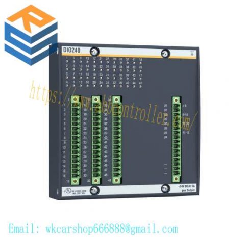 BACHMANN DIO248 | BACHMANN ELECTRONIC DIO248