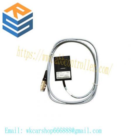 PASAN 200035 Switch Sensor - Industrial Grade, Precision Measurement