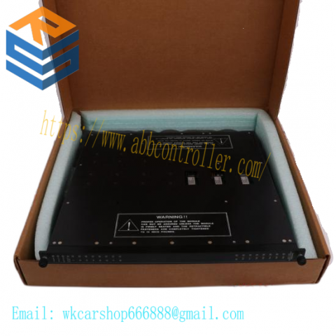 TRICONEX 3007 - High-Performance Digital Control Module