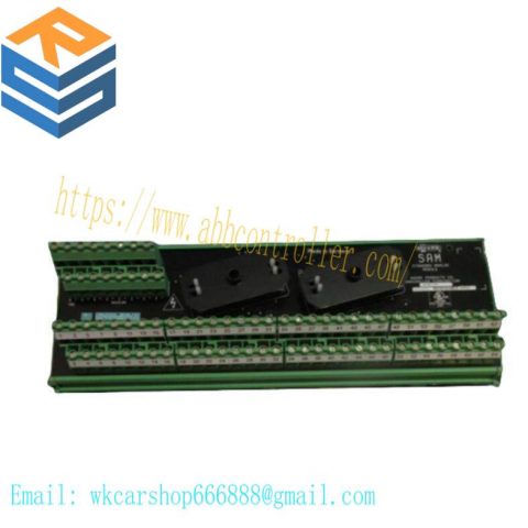 Moore 16169-1-07 SAM Standard Analog Module: Precision Control at Your Fingertips